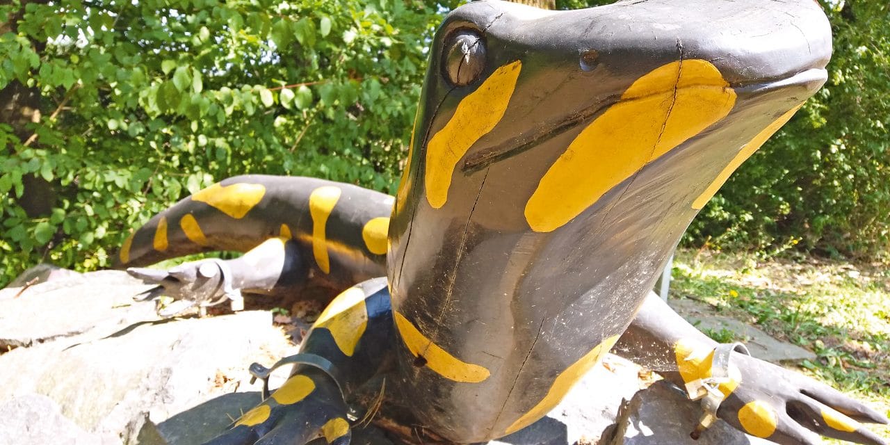 Der-hölzerne-Riesensalamander-Leittier-von-Kaisersdorf-1280x640