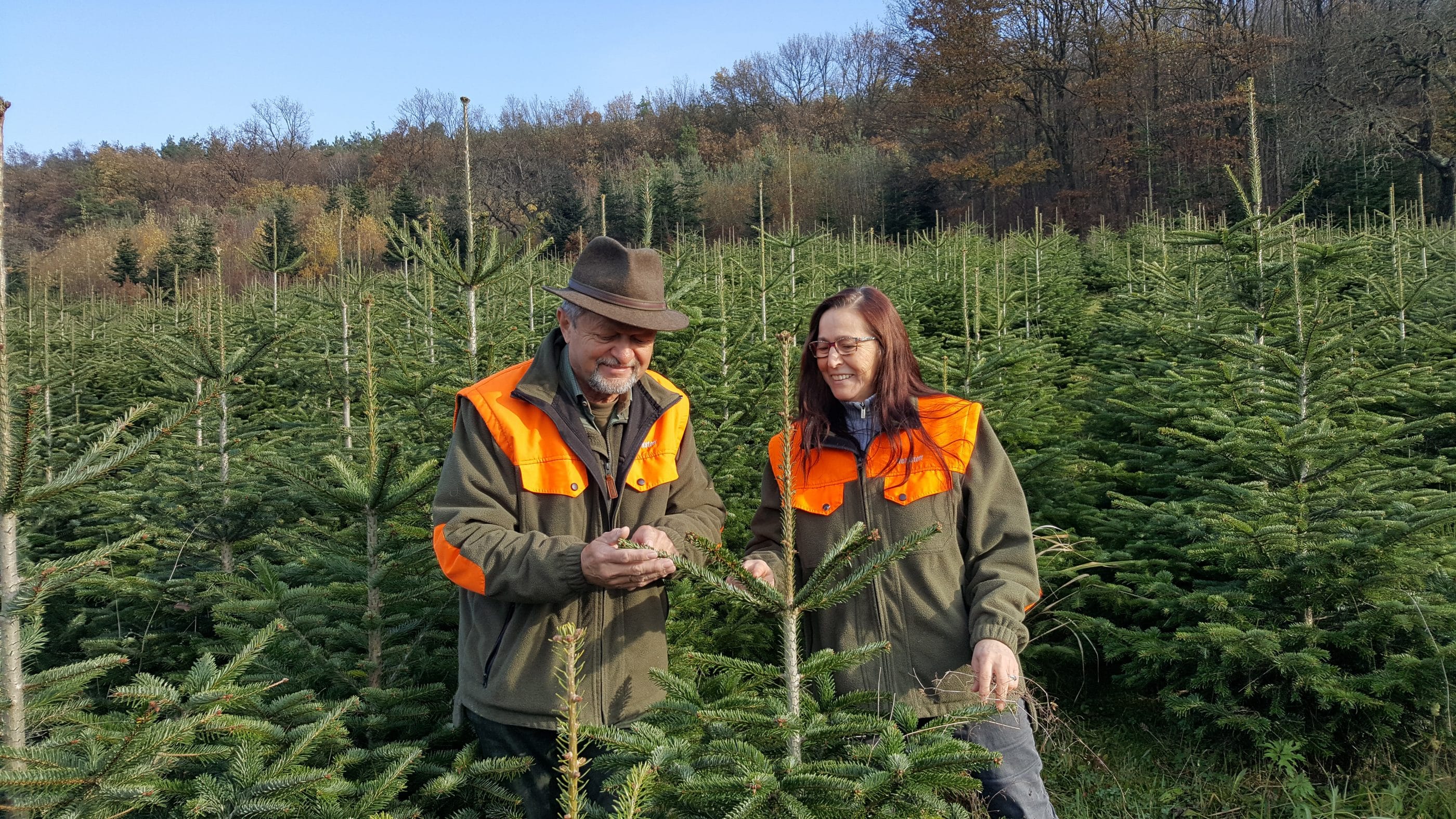 Christbaum