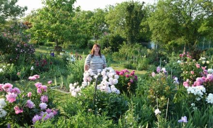 Garten-Träume: Grüne Paradiese sorgen für Frühlingsgefühle