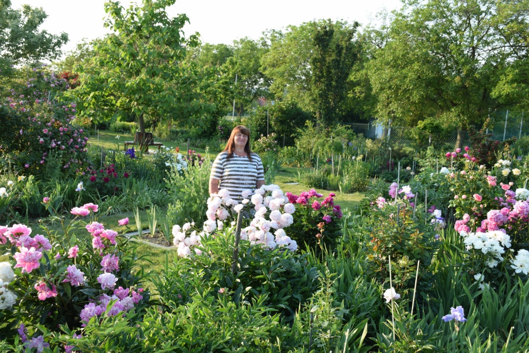 Gartenträume