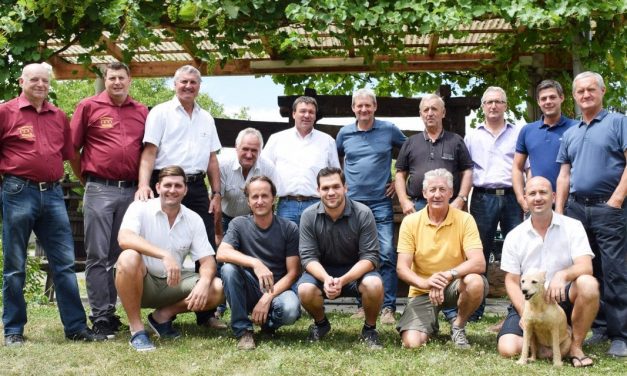 Burgenlands älteste Weinbaugemeinde: 800 Jahre Lutzmannsburger Wein