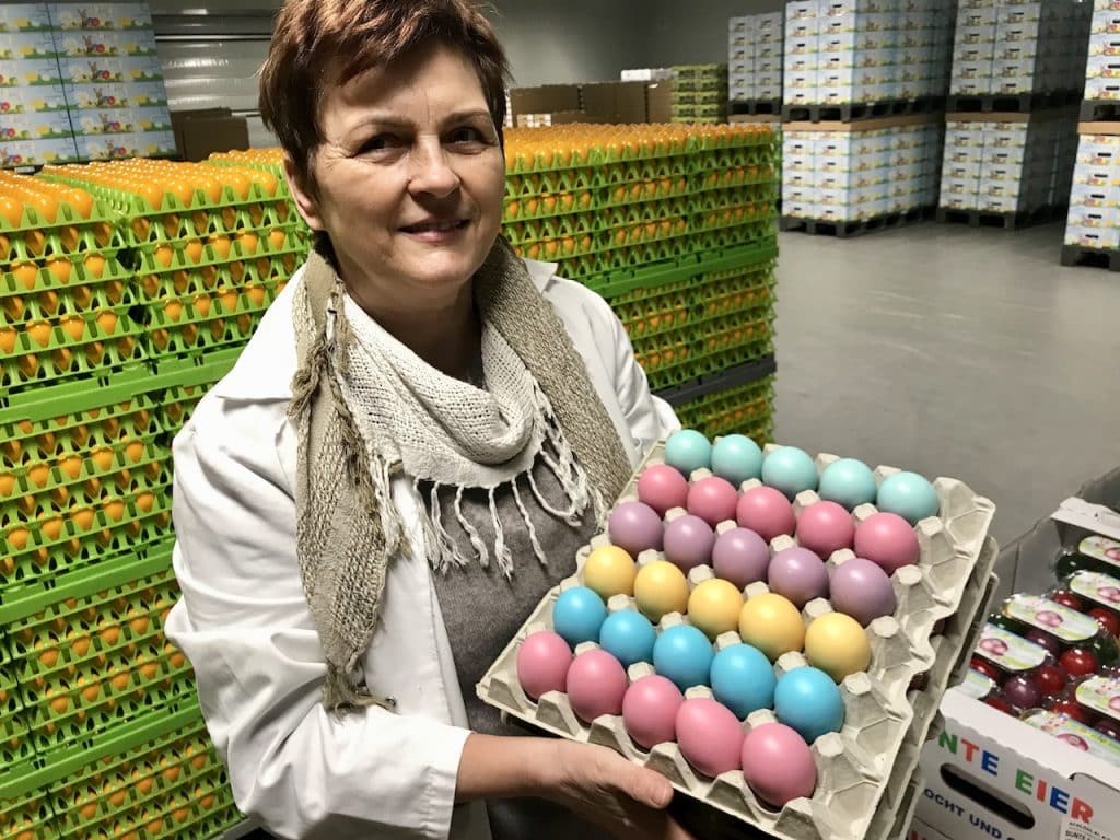 Schlögl Ei