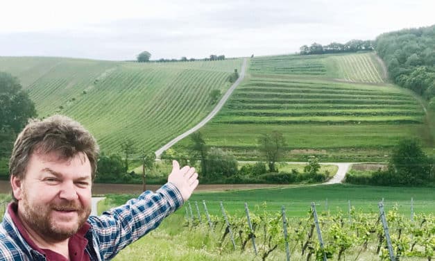 Gesellmann legt Terrassen-Weingarten an