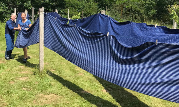 „Wir machen blau!“